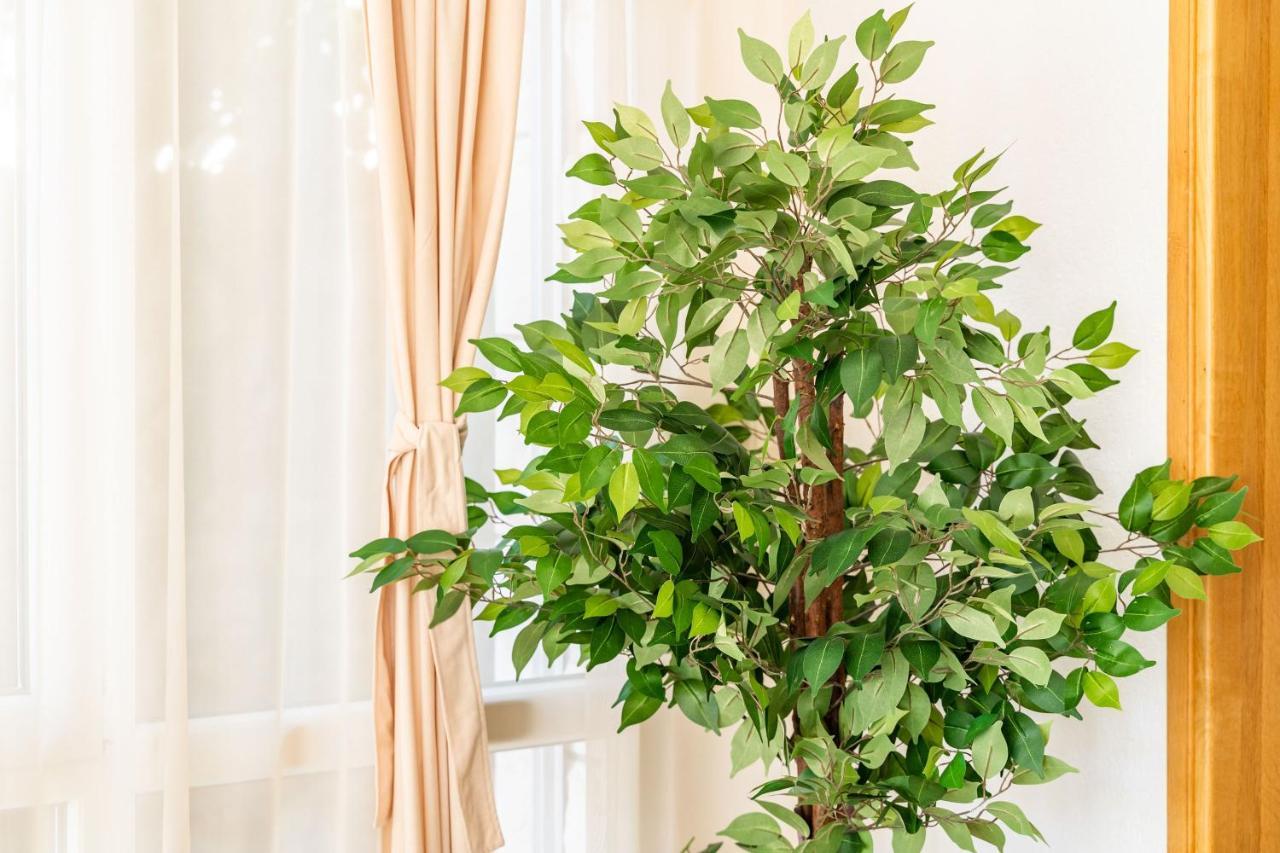 Holiday Home King دوبروفينك المظهر الخارجي الصورة